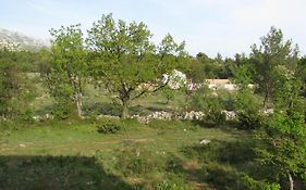 Paklina Apartments