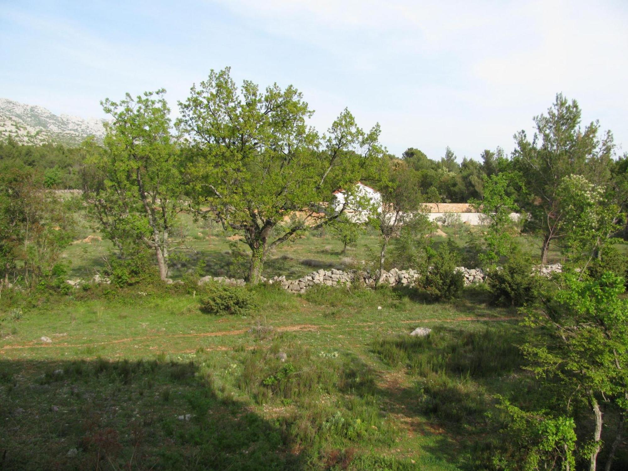 Paklina Apartments Starigrad Paklenica Exteriér fotografie